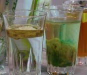 Phytovy Compare